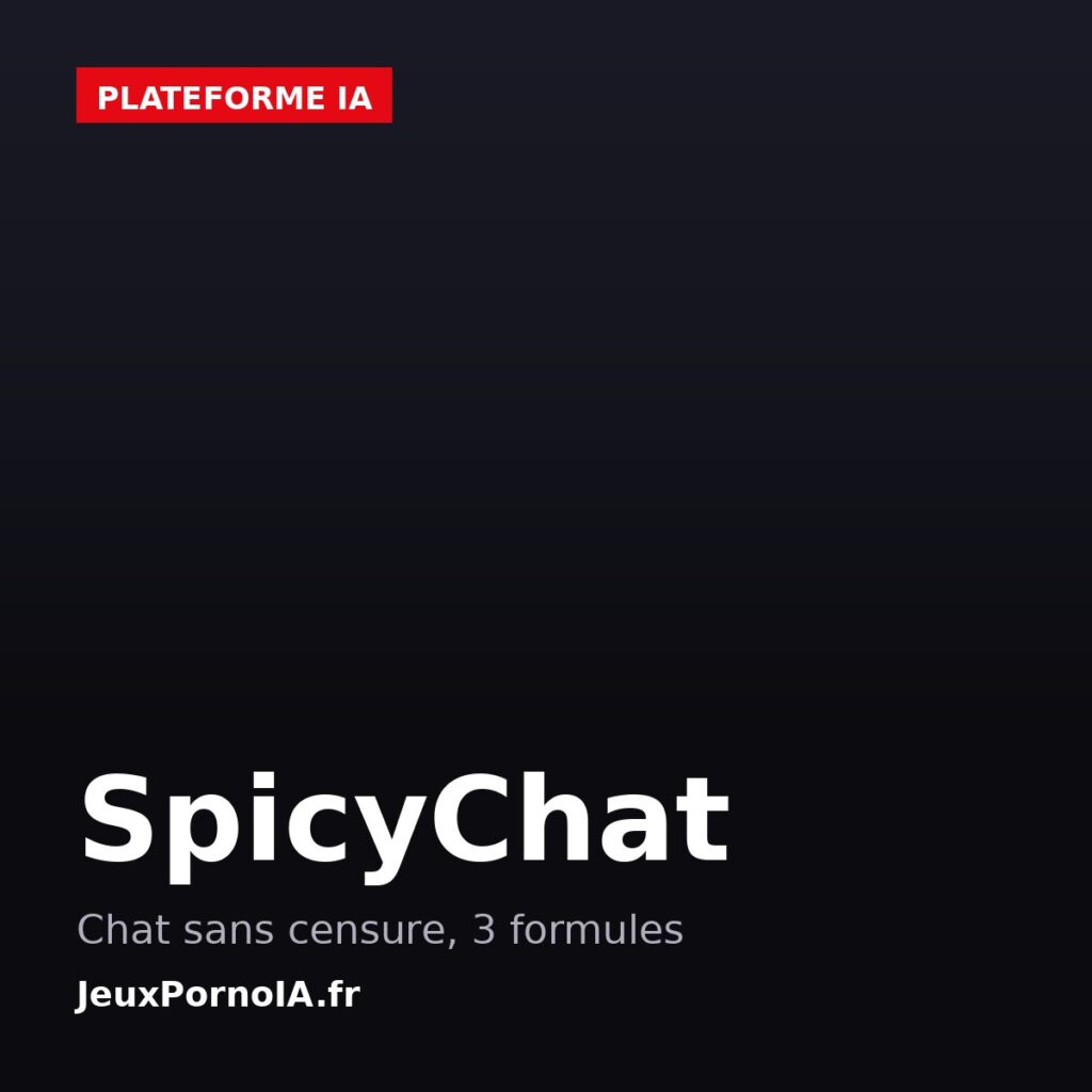 SpicyChat, chat sans censure, 3 formules