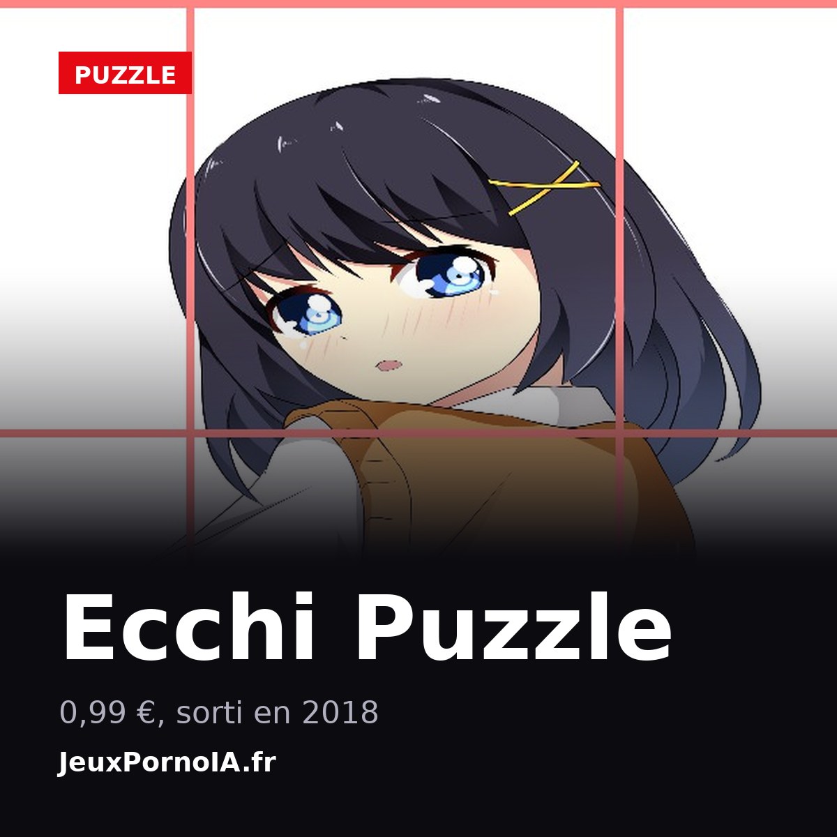 Ecchi Puzzle, sorti en 2018, sans déclaration (visuel officiel : https://shared.akamai.steamstatic.com/store_item_assets/steam/apps/890710/ss_57a9645aaafeeaa2f7134714298c3e8ebfb0ad73.1920x1080.jpg)