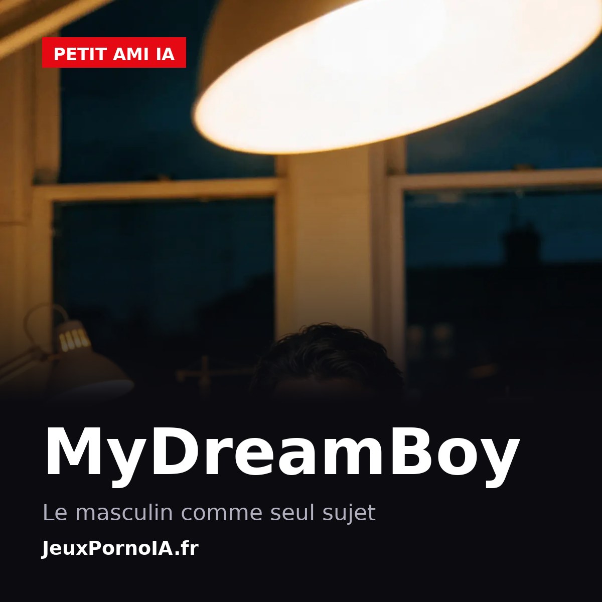 MyDreamBoy, le masculin comme seul sujet (visuel officiel : https://jeuxpornoia.fr/wp-content/uploads/2026/06/dondi-ai-compagnon-hd.webp)